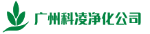 盛世国际